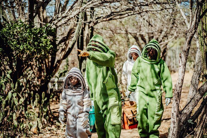 Aruba´s Bee Haven Private Adventure - Price, time, and where this fits on your Aruba plan