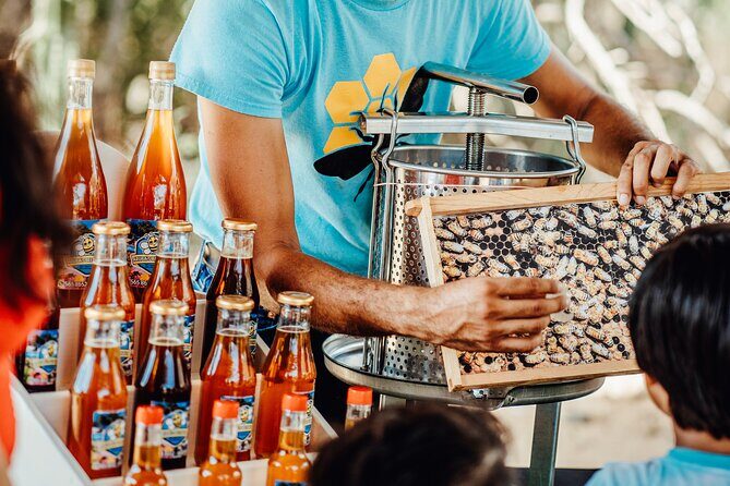 Aruba´s Bee Haven Private Adventure - Who should book Aruba’s Bee Haven Bee Adventure