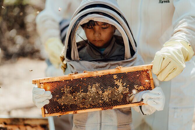 Aruba´s Bee Haven Private Adventure - Bee suits, safety, and feeling at ease around the hives