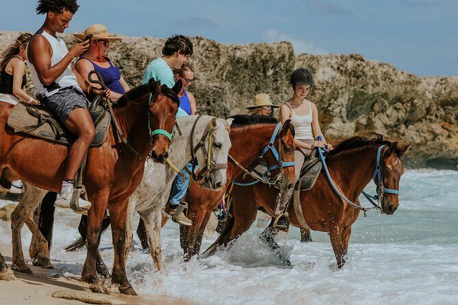 Aruba's Northern Coast Horseback Adventure - Quick hits: what makes this Aruba horseback ride special