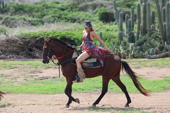Aruba's Northern Coast Horseback Adventure - The horses: calm, trained, and built for this type of trail