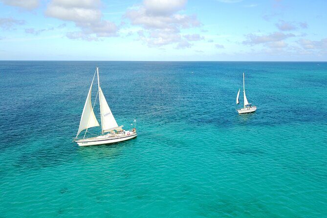Blue Parrot Snorkel Sail with 4 course lunch or dinner in Aruba - 4-course lunch or dinner + premium open bar: the meal is part of the deal