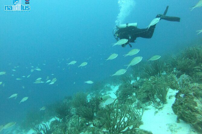 Boat Dive Shipwreck/ Airplanes/ Reef /2 tanks - Certified Divers Only: The Rule That Changes Everything