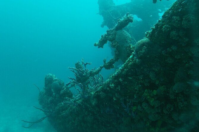 Boat Dive Shipwreck/ Airplanes/ Reef /2 tanks - Stop One: Jane Sea Shipwreck and Why Wreck Time Works