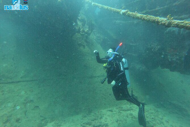 Boat Dive Shipwreck/ Airplanes/ Reef /2 tanks - The Gear-Help Factor: What Izhar’s Support Signals