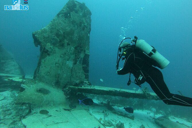 Boat Dive Shipwreck/ Airplanes/ Reef /2 tanks - Who This Trip Is Best For (And Who Should Skip It)