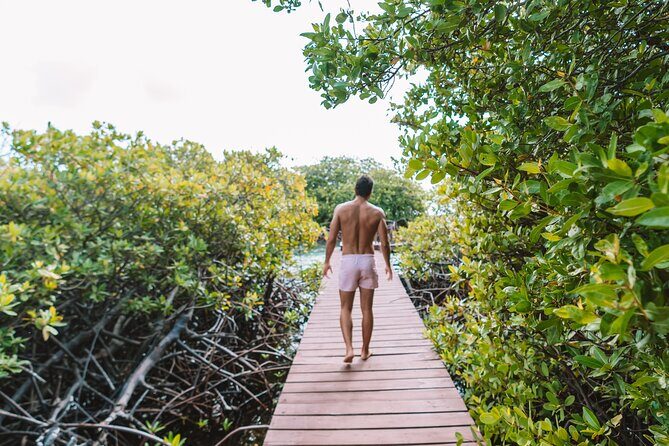 Custom Full‑Day Private Adventure: Snorkel & Explore Hidden Spots - Where you meet and how the day returns