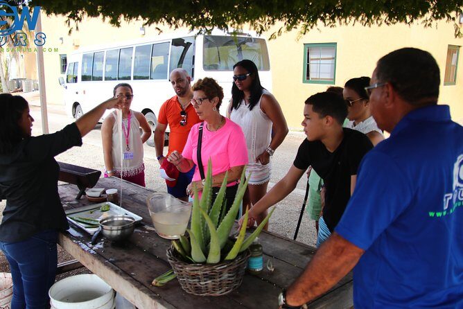 Customized Aruba Island Private Tour for All Ages - Oranjestad Pickup: Starting Where You Want, Ending Where You Began