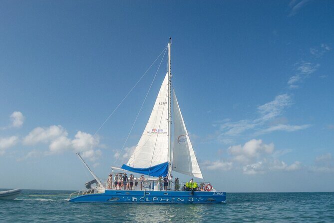 Dolphin Catamaran Snorkel and Sail with Open Bar - Getting On Board at Delphi Watersports (Noord, Aruba)