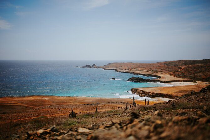 Exclusive Aruba UTV Tours - Price and value: $256 per group actually makes sense