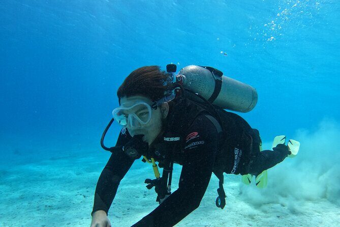 Guided Padi Discover Scuba Diving for Non-Certified Divers - Key Highlights