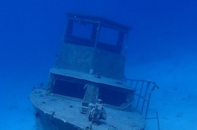 Guided Padi Discover Scuba Diving for Non-Certified Divers - What You’ll Actually See Underwater: Fish and a Shipwreck
