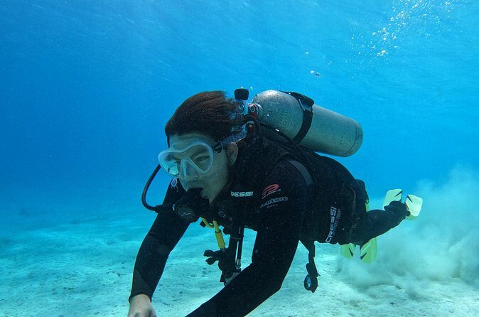 Guided Padi Discover Scuba Diving for Non-Certified Divers - Should You Book Aruba Bob’s Discover Scuba Session?