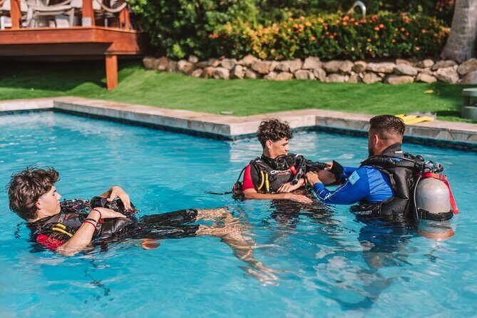 Half-Day Aruba Intro Diving Course for Beginners - What You’ll See Underwater: Fish, Turtles, and Wrecks Close-Up