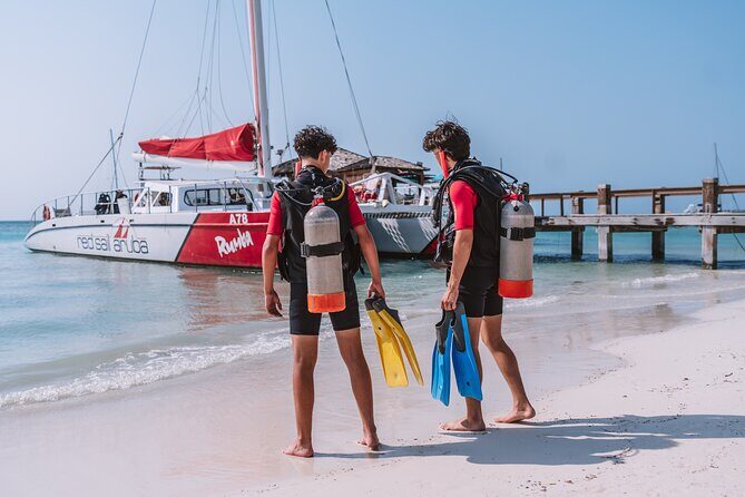 Half-Day Aruba Intro Diving Course for Beginners - Instructor Style and Small Numbers: Why This Course Feels Personal