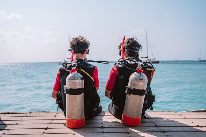 Half-Day Aruba Intro Diving Course for Beginners - Price and Value: How $104 Makes Sense for a Real Intro