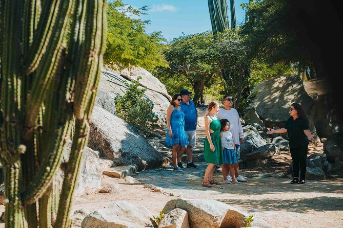 Half-Day Aruba Island Tour from Oranjestad - Ayo Rock Formations and the Casibari Views: A Short Climb, Big Payoff