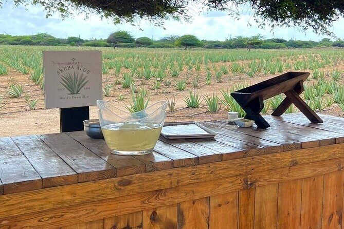 Half day Aruba Jeep Tours - Sightseeing and more - Aruba Aloe Factory: A Working Farm View of Natural Remedies