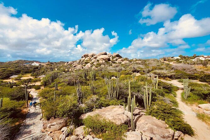 Half-Day Jeep Tour in Aruba - What This Half-Day Jeep Tour Is Really Like