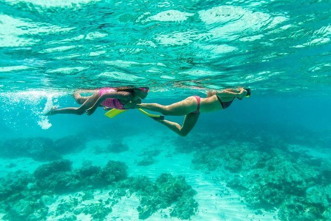 Half-Day Snorkel Sail Tour with Caribbean Lunch - Stop 1 at Catalina Bay: shallow water, snorkel coaching, and an easy first win