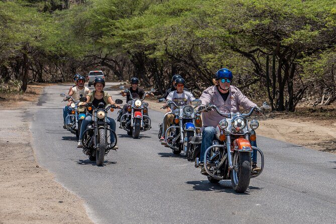 Harley-Davidson Guided Island Tours - Riding logistics on Aruba roads: lead rider flow, safety, and the “rotary” advantage