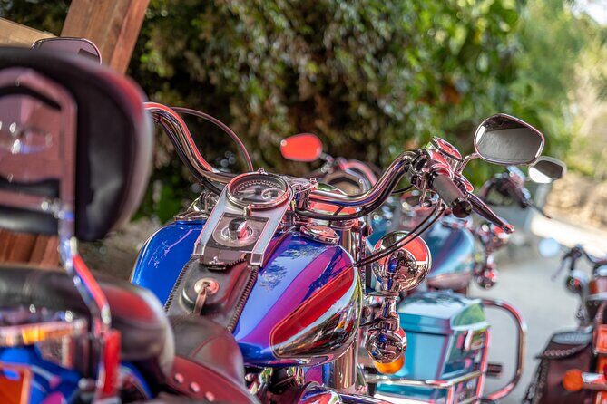 Harley-Davidson RENTALS ONLY 4 hrs - Arikok National Park Stop: Nature Time Without a Full-Day Commitment