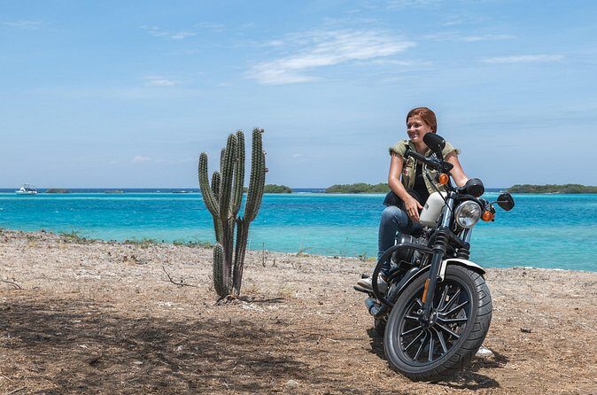Harley-Davidson RENTALS ONLY 4 hrs - Price and Value: $148.40 per Group Up to 2