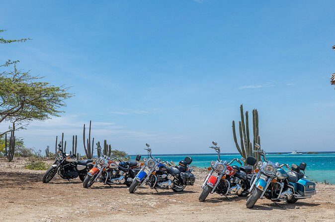 Harley-Davidson RENTALS ONLY 4 hrs - Weather, License, and Comfort: Small Things That Decide If You’ll Enjoy It