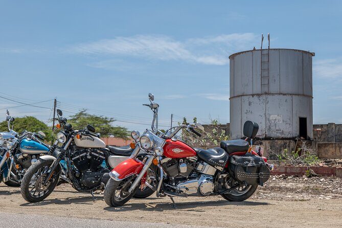 Harley-Davidson RENTALS ONLY 4 hrs - Choosing Your Bike: Road King, Heritage, Dyna, or Sporty