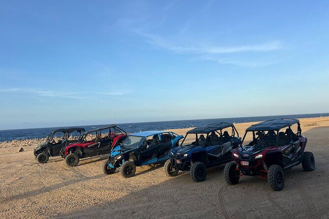 Honda Tallon 4 seat rental - Honda Talon 4-Seater: Built for Aruba’s rough roads