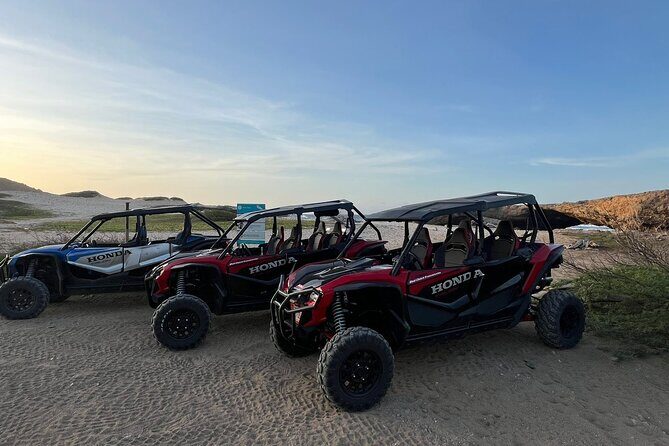 Honda Tallon 4 seat rental - Should you book Real Deal Aruba’s Honda Talon 4-seater?