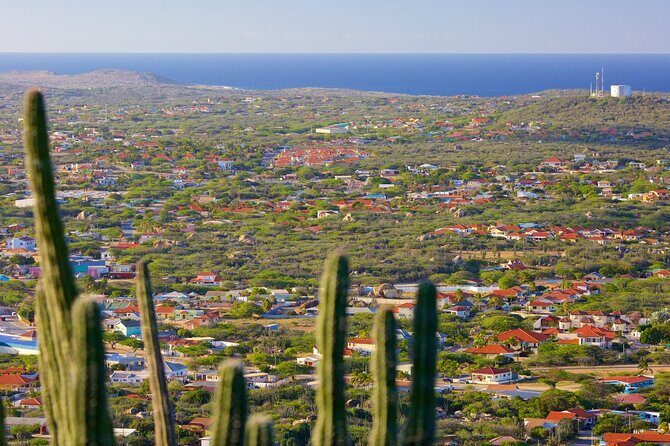 Hooiberg Hill Hike (Sunrise, Sunset, Night) - Key things to know before you climb Hooiberg