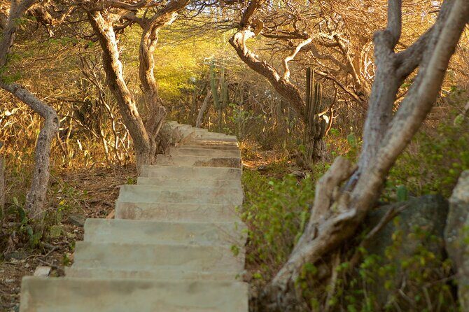 Hooiberg Hill Hike (Sunrise, Sunset, Night) - The climb: 600 steps, short breaks, and real photo chances