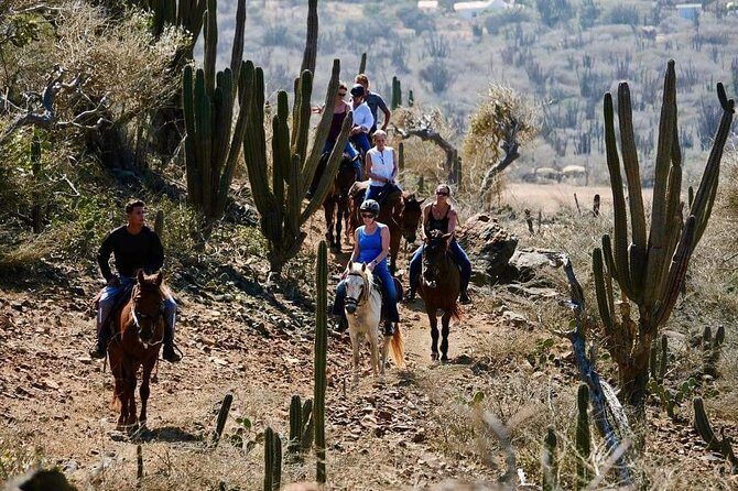 Horseback Ride Tour to Natural Pool in Arikok National Park - Why horseback through Arikok feels different than a beach day