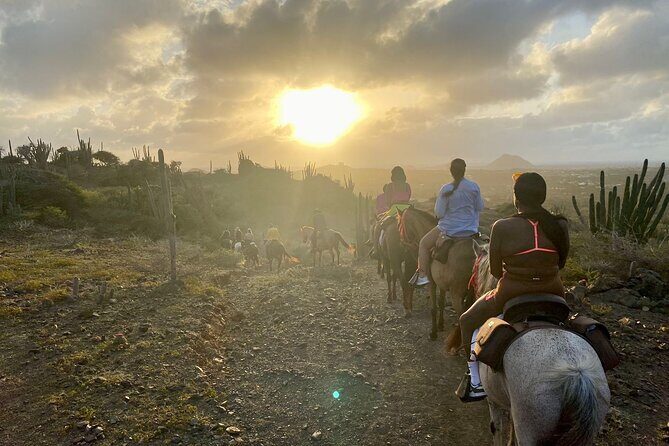 Horseback Ride Tour to Natural Pool in Arikok National Park - Timing, logistics, and how to pick morning vs afternoon