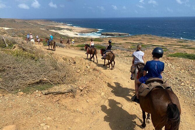 Horseback Ride Tour to Natural Pool in Arikok National Park - Who this tour suits (and who should think twice)