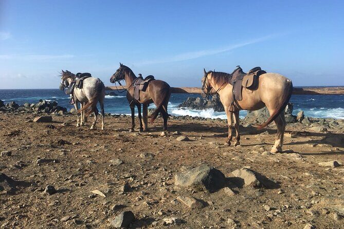 Horseback Ride Tour to Natural Pool in Arikok National Park - First-time rider tips that actually help on the day