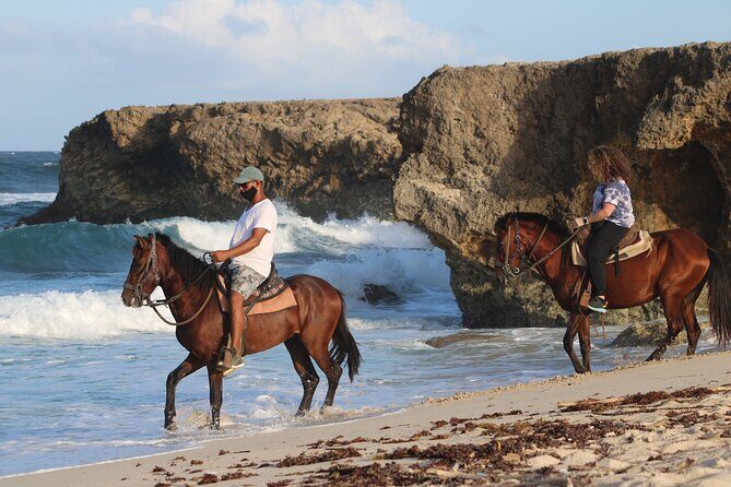 Horseback Riding and Natural Pool Adventure in Aruba - Key things I’d circle before you go