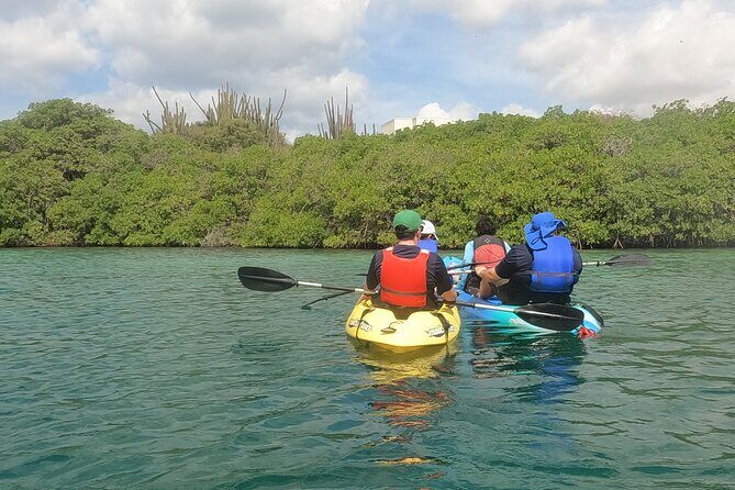 Kayak Tour at Mangel Halto and Spanish Lagoon - Reef Snorkeling: Coral Views, Real Water Feel, and a Heads-Up