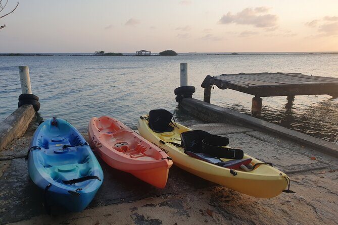 Kayak Tour to Seaglass Island - Price and Value: Is $80 Per Person Fair for the Time?