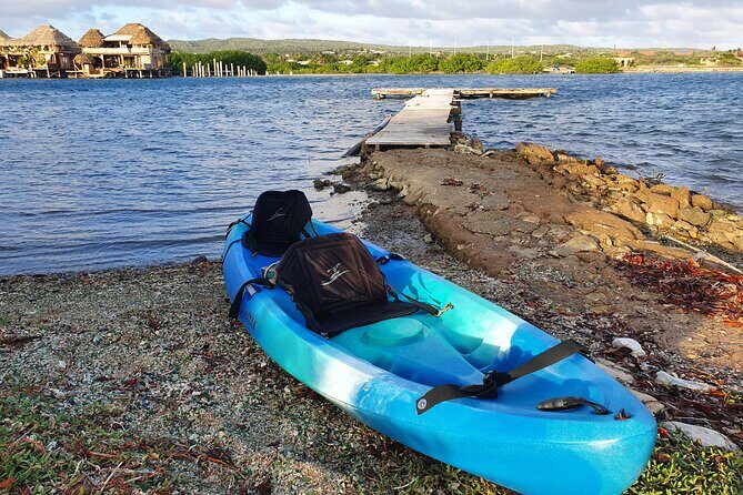 Kayak Tour to Seaglass Island - Timing That Works: Early, Late, and Wavy-Water Reality