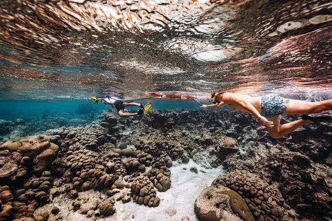 Luxury Lagoon Cruise with Onboard Chef and Signature Cocktails - Rope Swing: The Moment Most People Remember