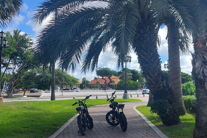 Oranjestad Culture Heritage and Coastal Electric Bike Experience - Price, What’s Included, and Why This Feels Like Good Value