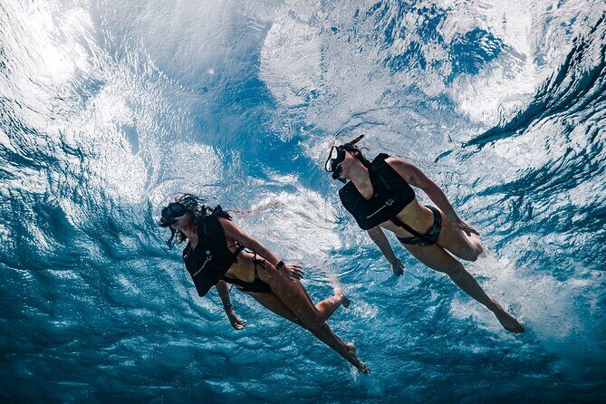 Premium Morning Snorkel Sail with Champagne Brunch - Pelican Pier at 9:00am: what your start looks like