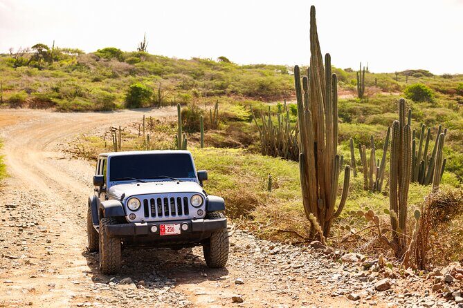 Private and Customized Aruba 4X4 Jeep Adventure - Key highlights you’ll feel right away