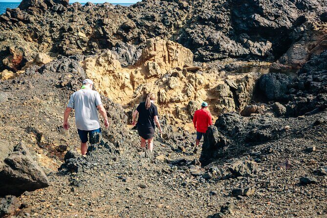 Private and Customized Aruba 4X4 Jeep Adventure - Value check: $500 per group and how to judge the deal