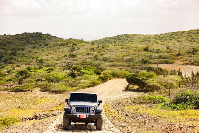 Private and Customized Aruba 4X4 Jeep Adventure - What you can realistically pack into 4 hours in a Jeep