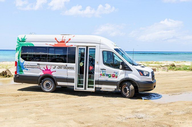 Private Aruba Beach Hop and Snorkel Experience - Oranjestad to Mangel Halto: the snorkeling start you’ll remember