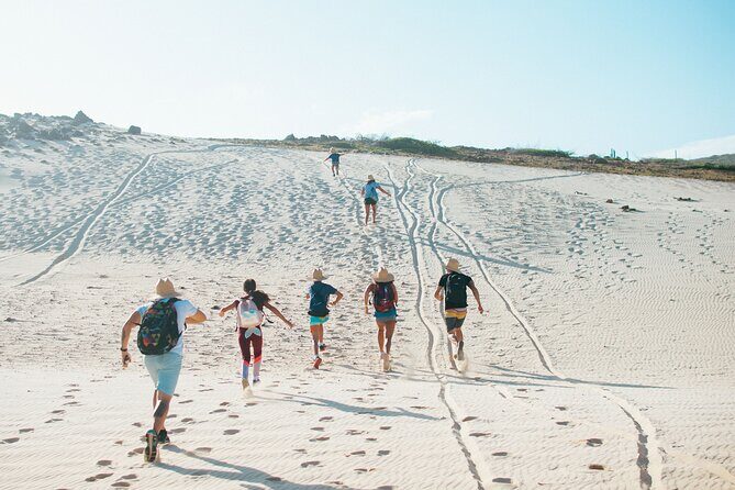 Private Aruba National Park Hiking & Natural Pool Swimming - Key highlights to expect on this private Natural Pool hike