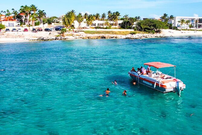 Private Aruba Snorkeling Excursion with Rum Punch - Where You Meet and How Pickup Works (Without the Headache)